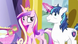 کارتون پونی My Little Pony